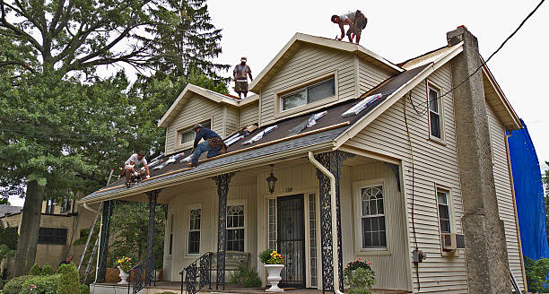 Best Flat Roof Repair Services  in Anchor Point, AK