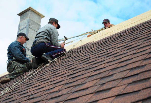 Best New Roof Installation  in Anchor Point, AK